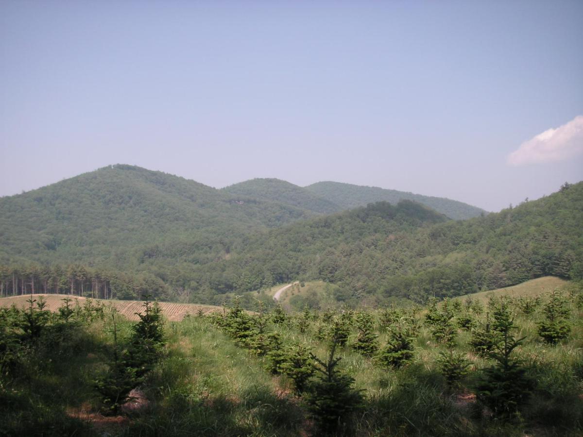 Arrowmont Stables & Cabins Cullowhee Exterior photo