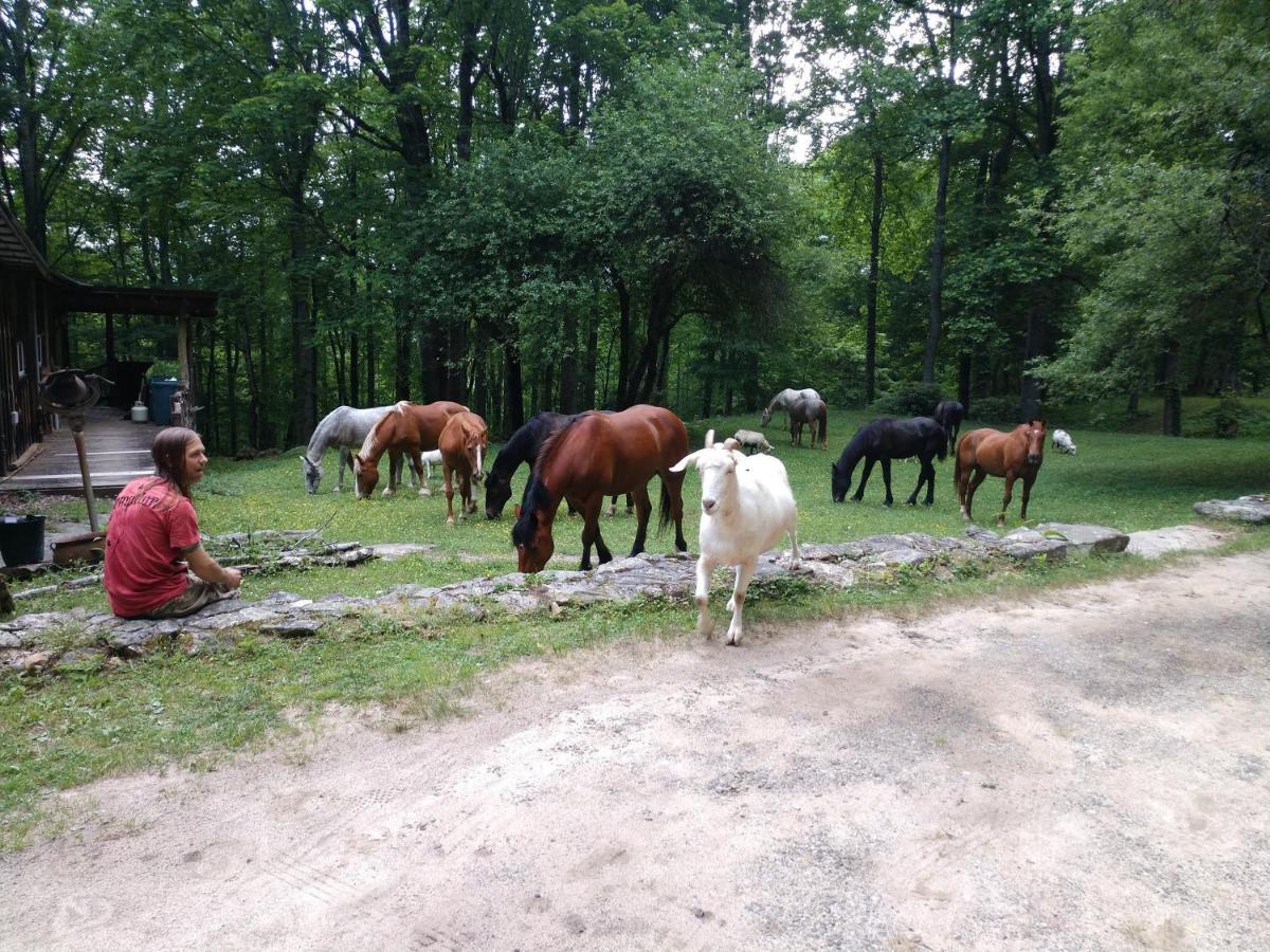 Arrowmont Stables & Cabins Cullowhee Exterior photo