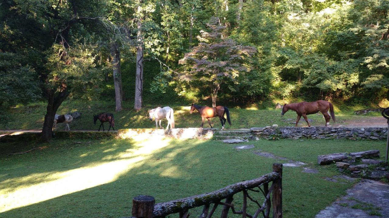 Arrowmont Stables & Cabins Cullowhee Exterior photo